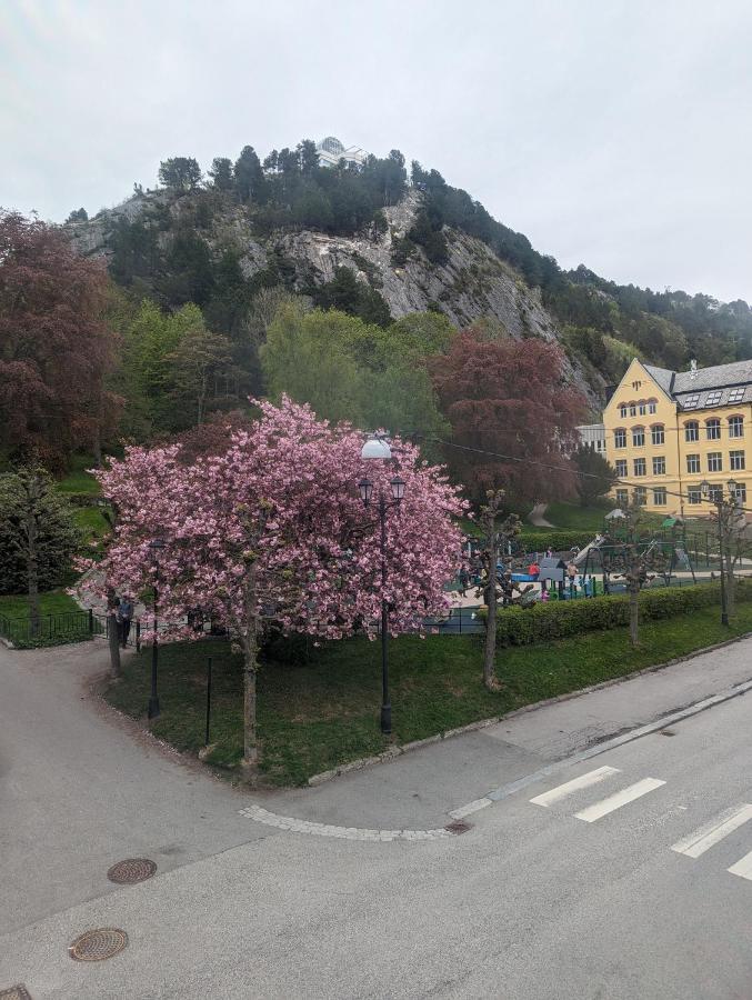 Family Friendly Apartment By The Park In The Very Center Of Ålesund Zewnętrze zdjęcie